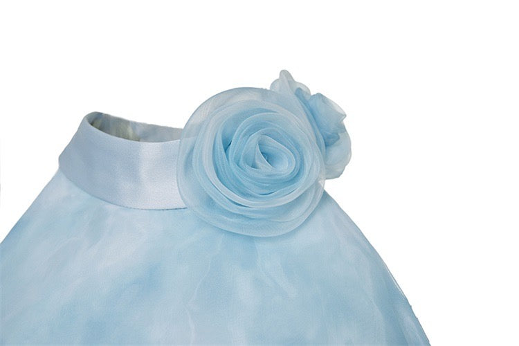 Dyed Organza Asymmetrical Hem Dress in Blue