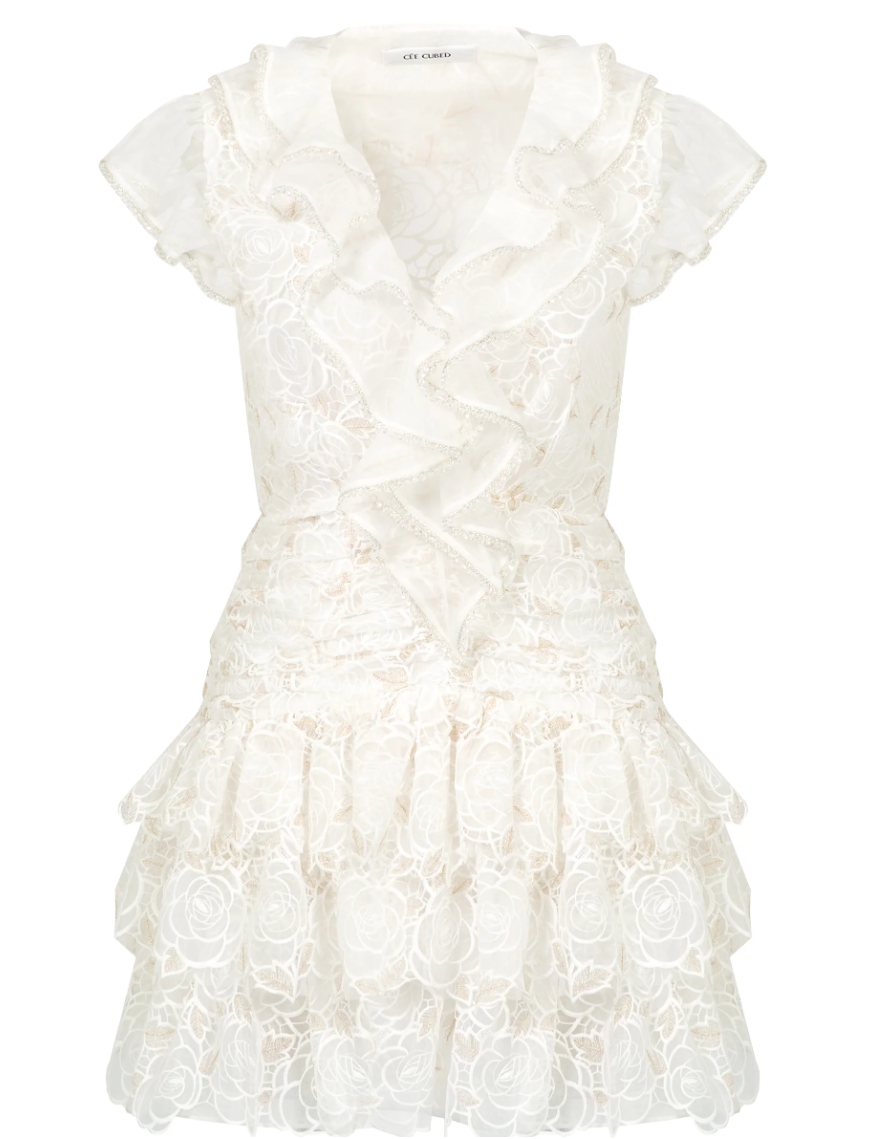 Rose Embroidered Ruffle Crystal-Embellished Dress