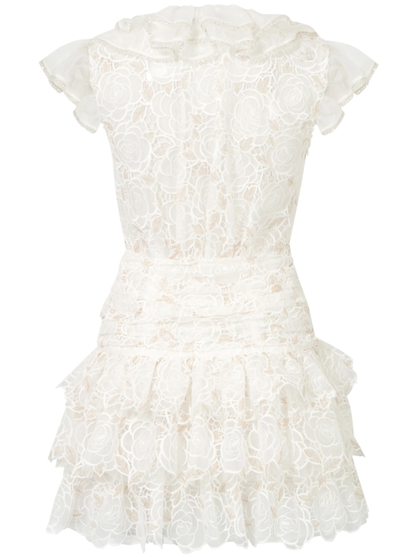 Rose Embroidered Ruffle Crystal-Embellished Dress